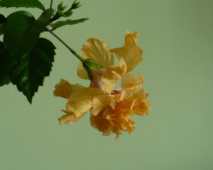 P1390591
