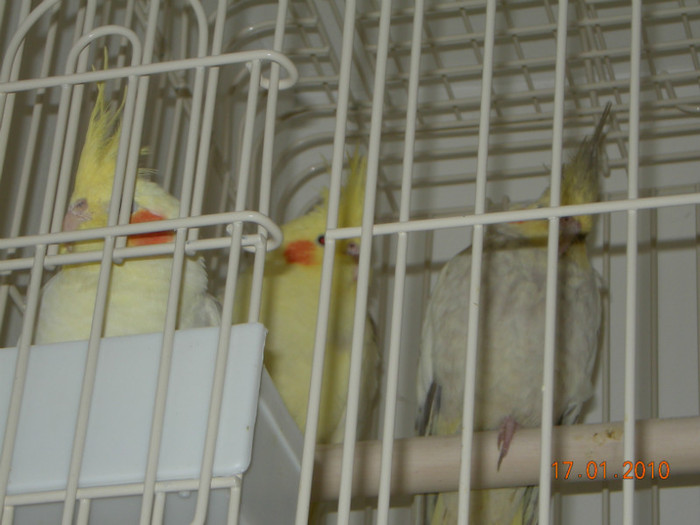 DSCN1163