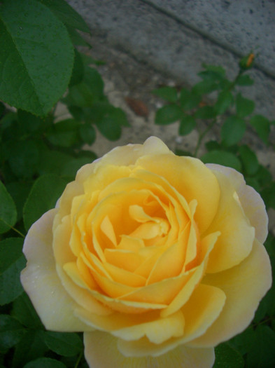 CIMG5456