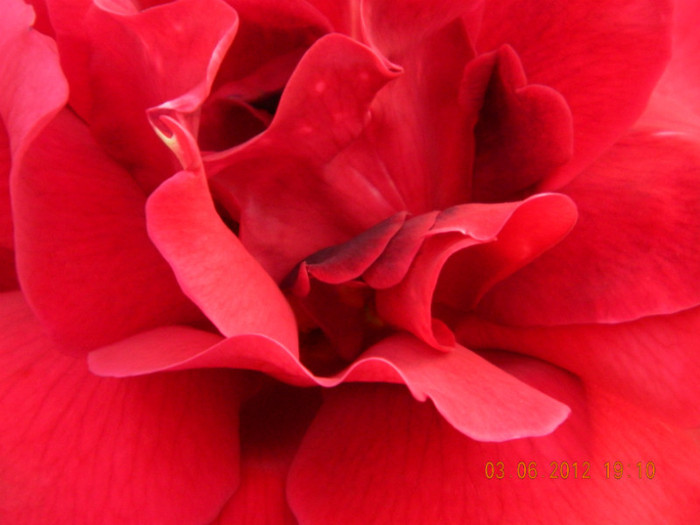 si dispare-n doua zile... - 6_IUNIE