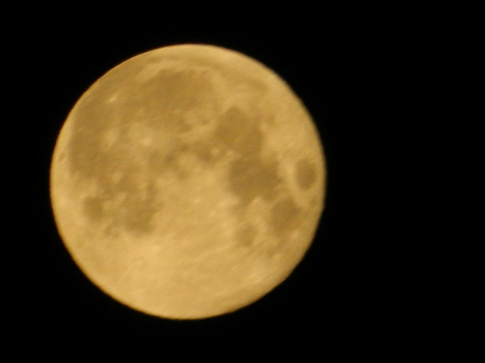 DSCN7926