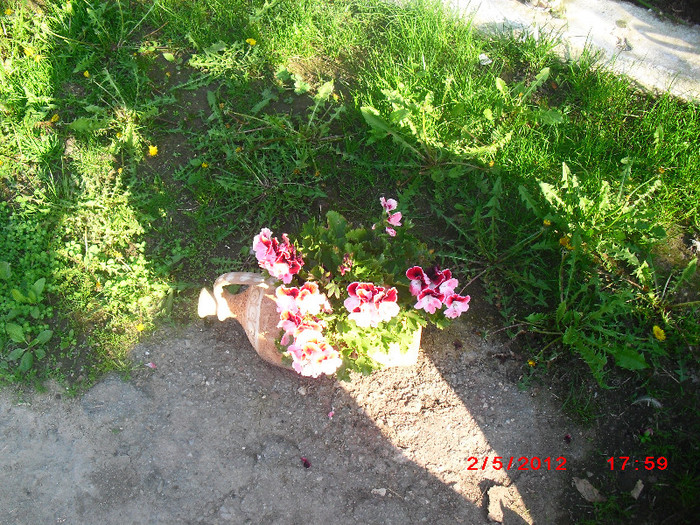 CIMG9131