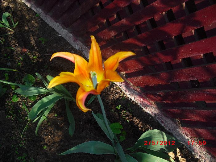CIMG9134