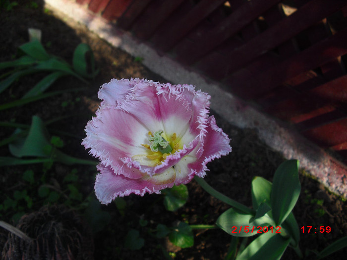 CIMG9135