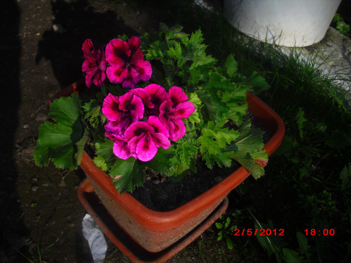 CIMG9138