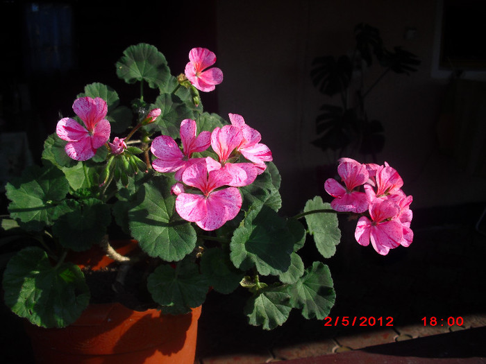 CIMG9139
