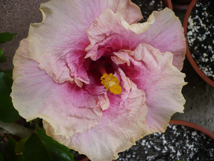 P1140434