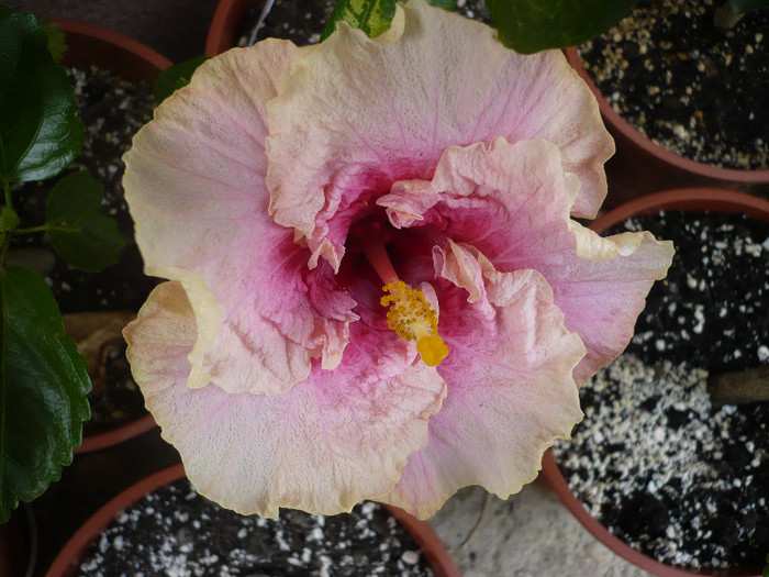 P1140435