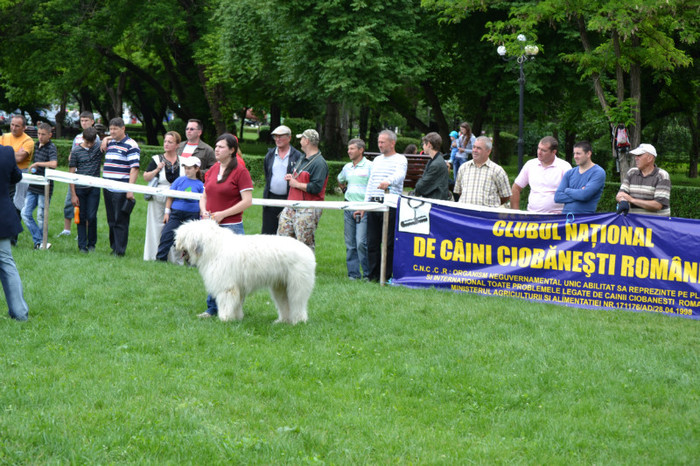 Bord de Raul Alb CMBR RPJ