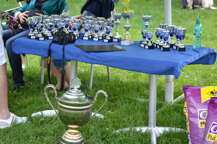 DSC_6388 - Targoviste 20 05 2012