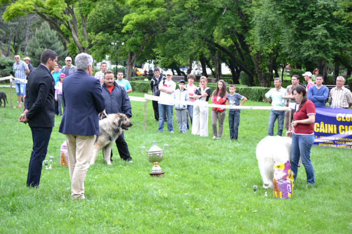 DSC_6445 - Targoviste 20 05 2012