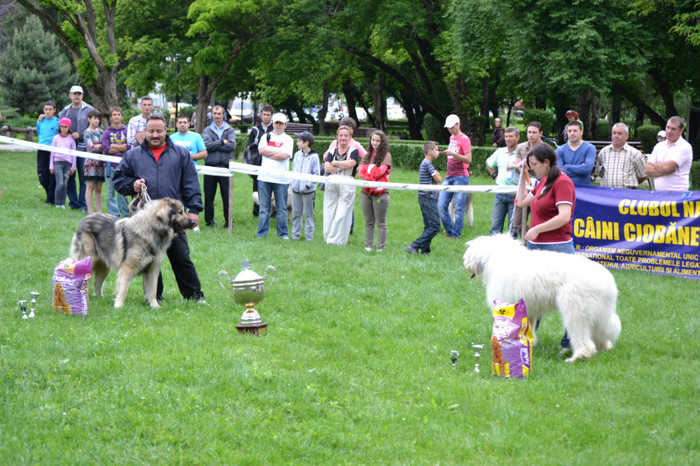 DSC_6446 - Targoviste 20 05 2012