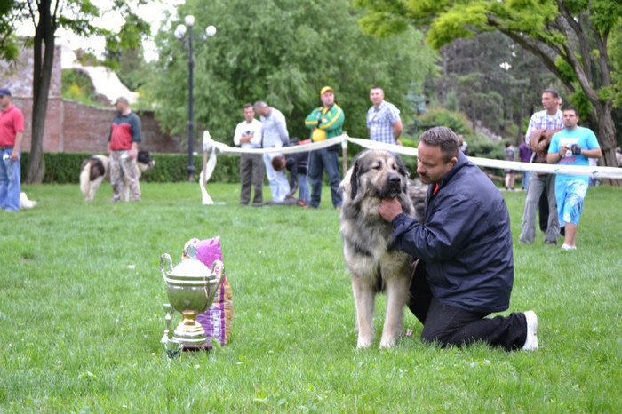 DSC_6449 - Targoviste 20 05 2012