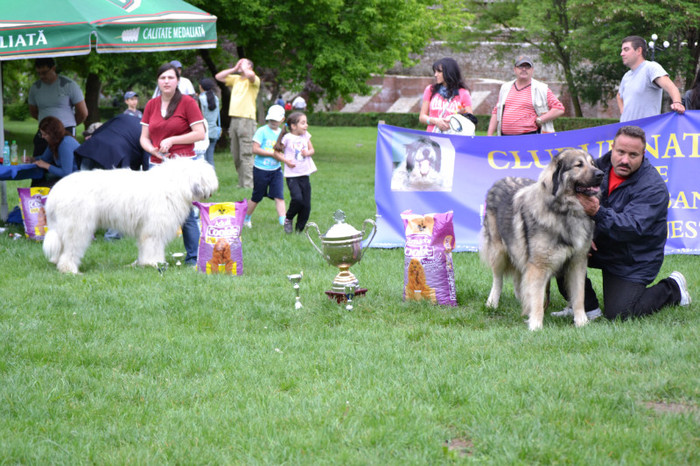 DSC_6453 - Targoviste 20 05 2012