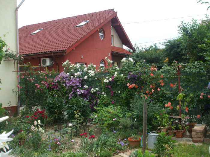 flori 2012 675