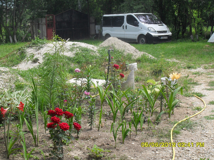SDC11938 - 7_Flori gradina anul I_ 2012