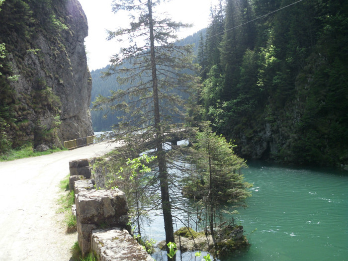 IMG_0434; CHEILE TATARULUI
