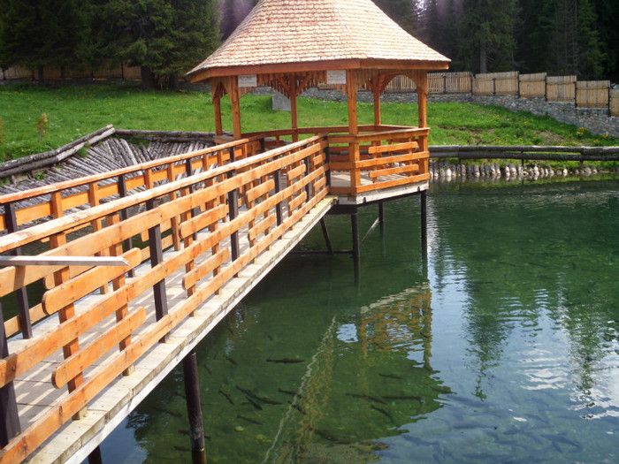 IMG_0471; LA PASTRAVARIE
