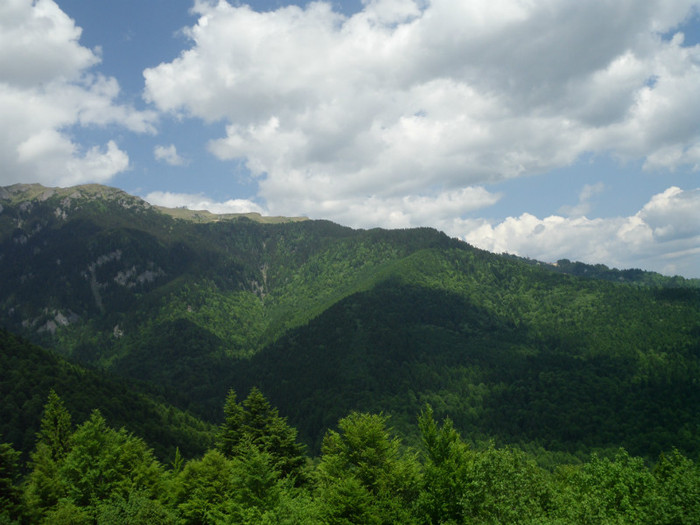 IMG_0265 - PRIN BUCEGI 2012