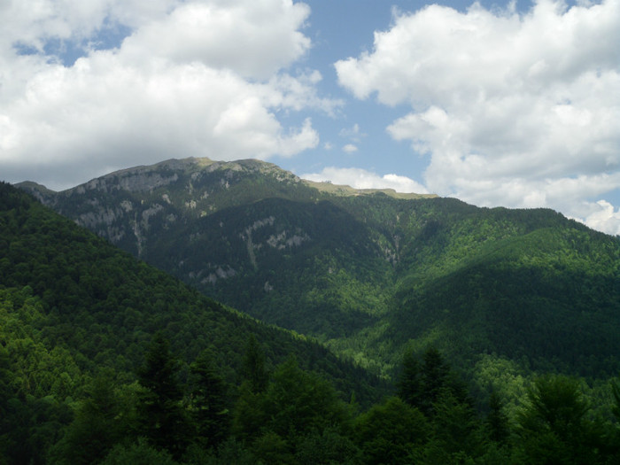 IMG_0268 - PRIN BUCEGI 2012