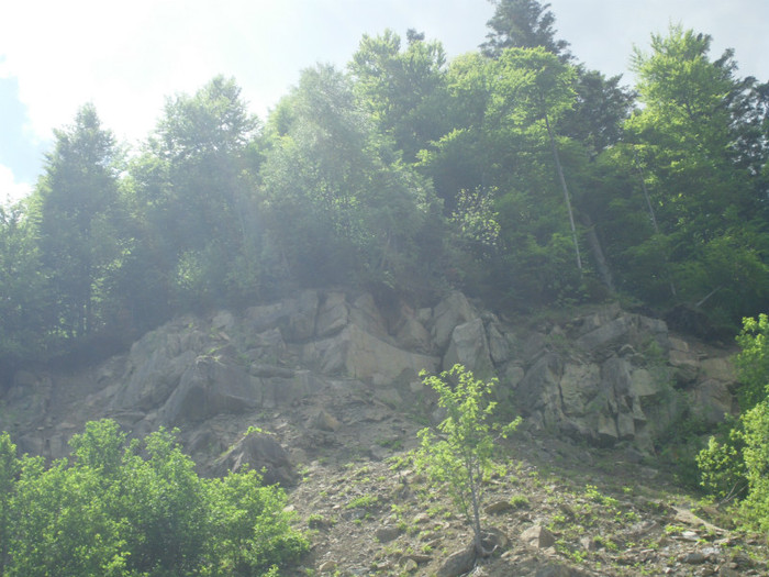 IMG_0273 - PRIN BUCEGI 2012