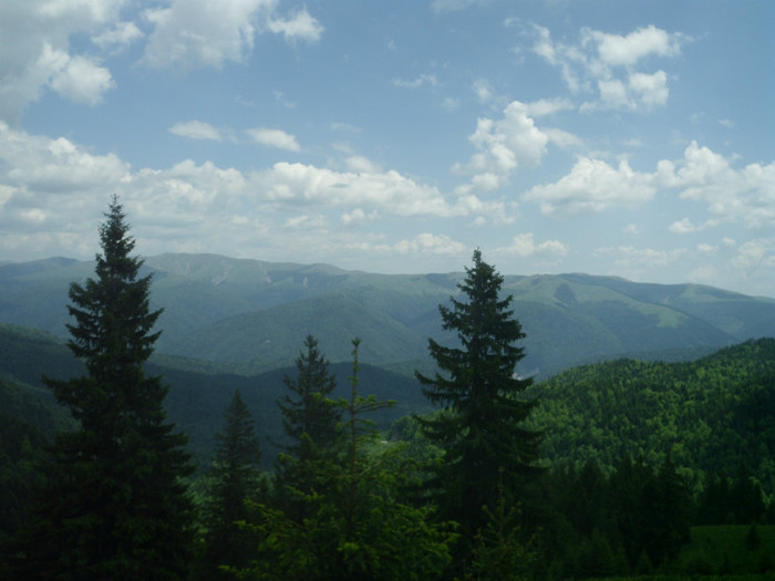 IMG_0274 - PRIN BUCEGI 2012