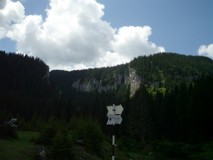 IMG_0298 - PRIN BUCEGI 2012