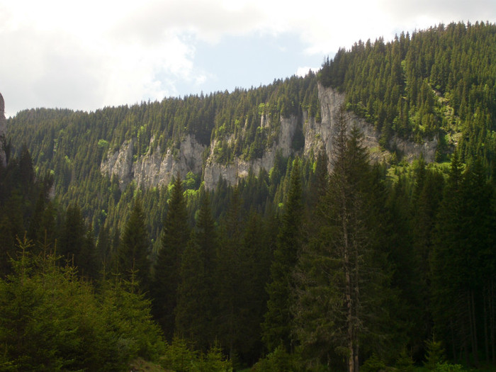 IMG_0314 - PRIN BUCEGI 2012