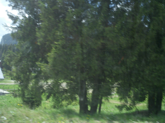 IMG_0317 - PRIN BUCEGI 2012