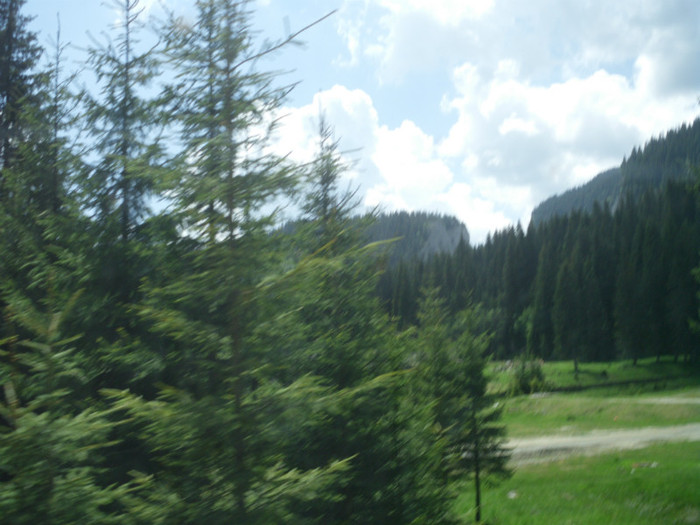 IMG_0319 - PRIN BUCEGI 2012