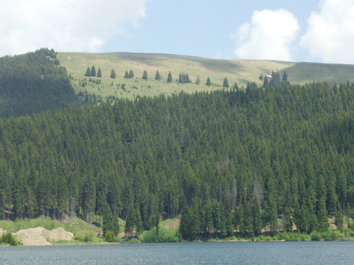 IMG_0335 - PRIN BUCEGI 2012
