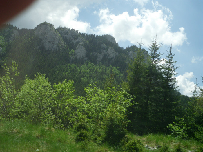 IMG_0344 - PRIN BUCEGI 2012