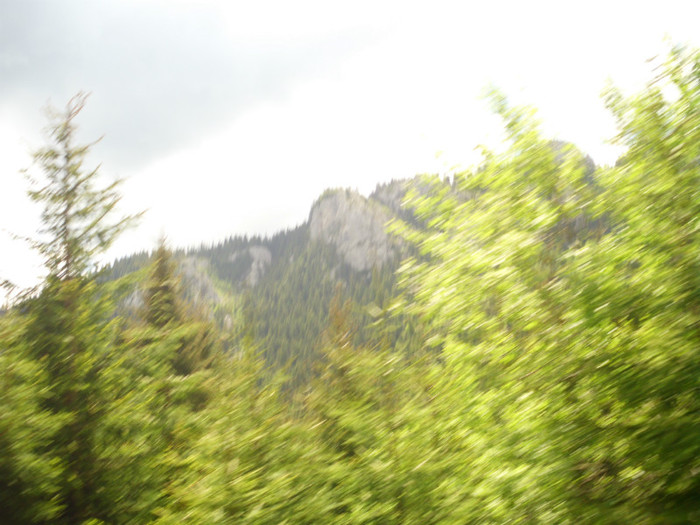 IMG_0345 - PRIN BUCEGI 2012
