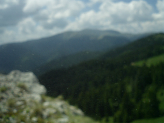 IMG_0356 - PRIN BUCEGI 2012