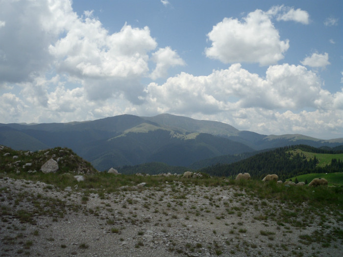 IMG_0360 - PRIN BUCEGI 2012