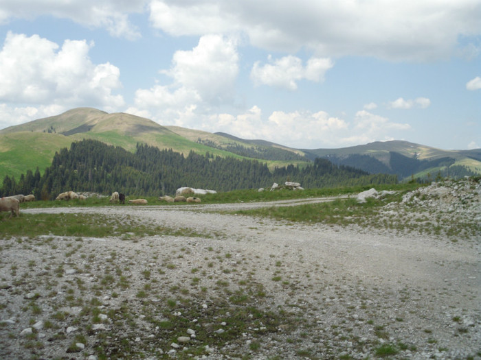 IMG_0361 - PRIN BUCEGI 2012