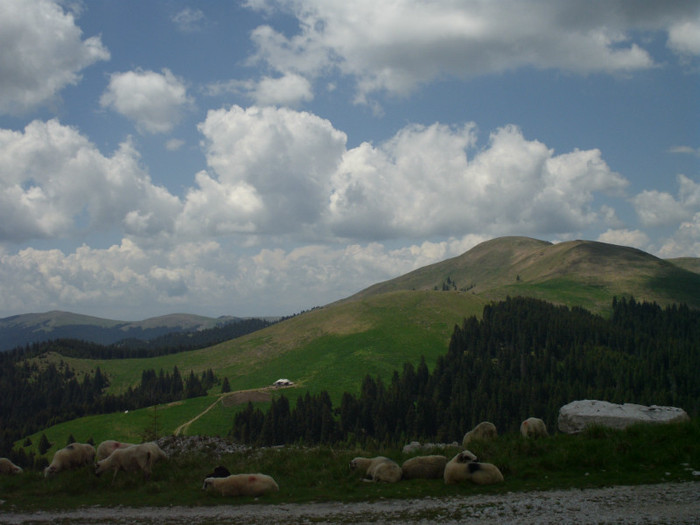 IMG_0366 - PRIN BUCEGI 2012