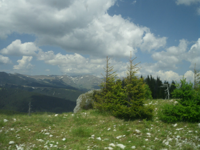 IMG_0374 - PRIN BUCEGI 2012