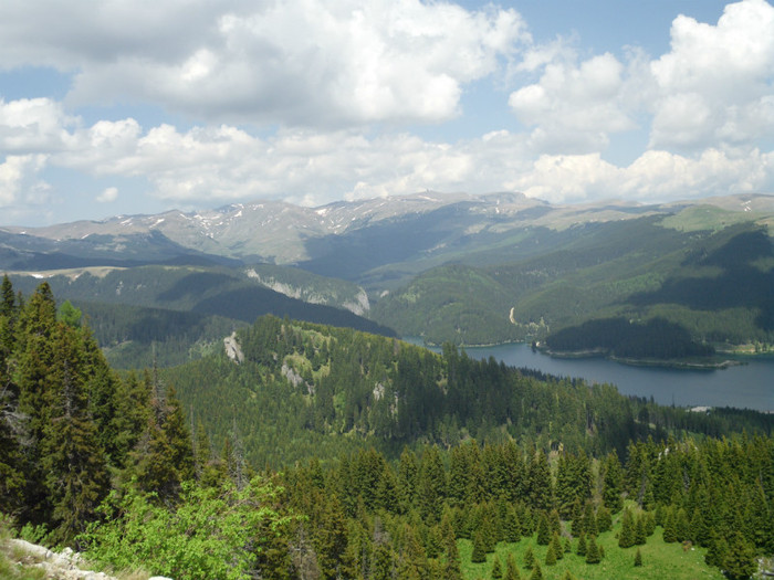 IMG_0376; MASIVUL BUCEGI - VAZUT DE PE PODUL FLORILOR
