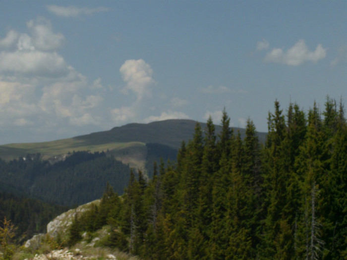 IMG_0381 - PRIN BUCEGI 2012