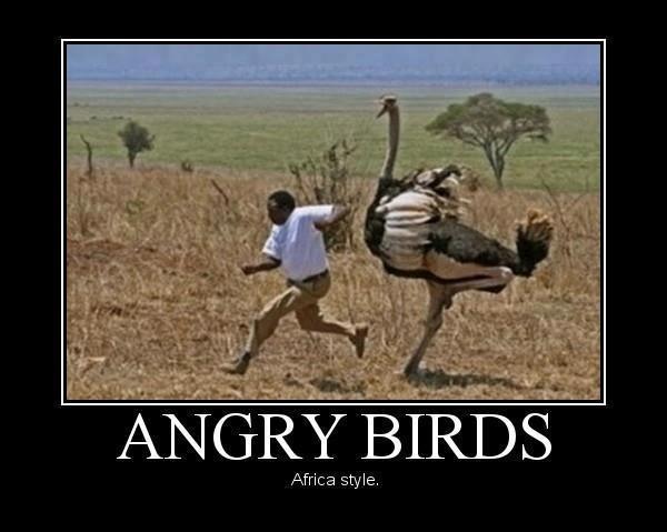 Angry Birds