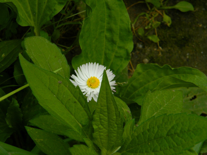 DSCN8076