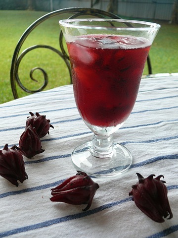 Hibiscus sabdariffa pt ceai