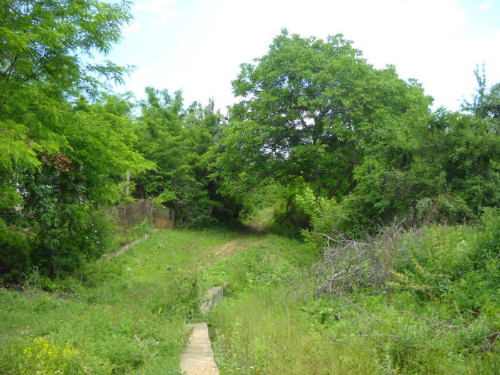 SDC23349 011 - Excursia de Rusalii