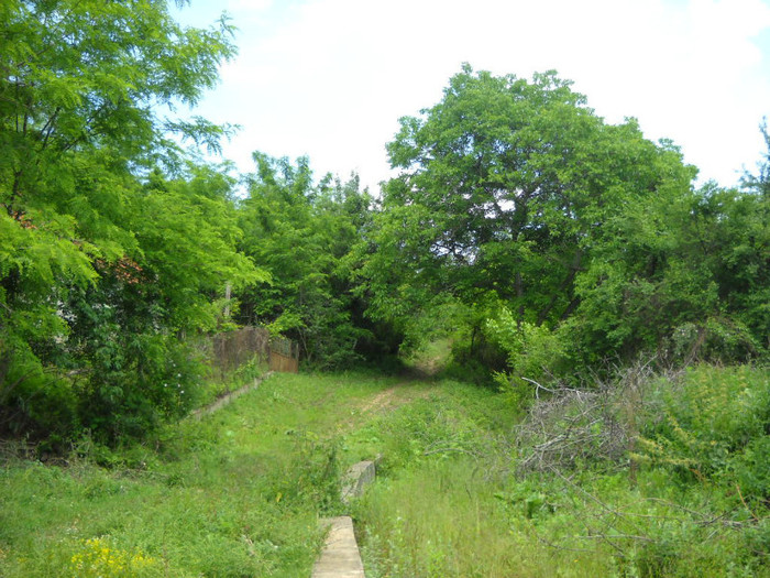 SDC23349 012 - Excursia de Rusalii