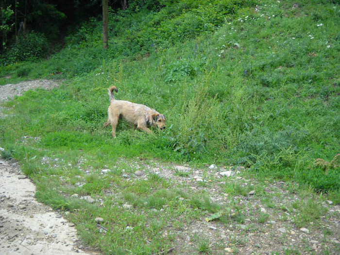 SDC23349 019 - Excursia de Rusalii