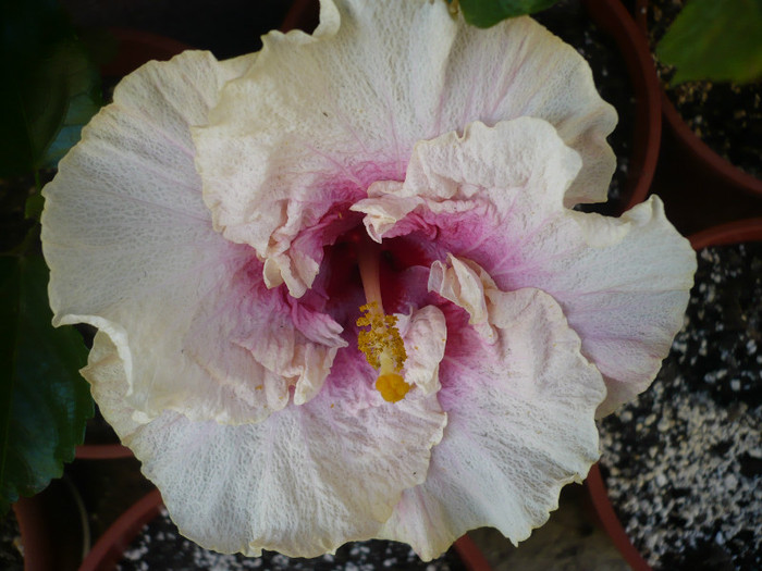P1140456
