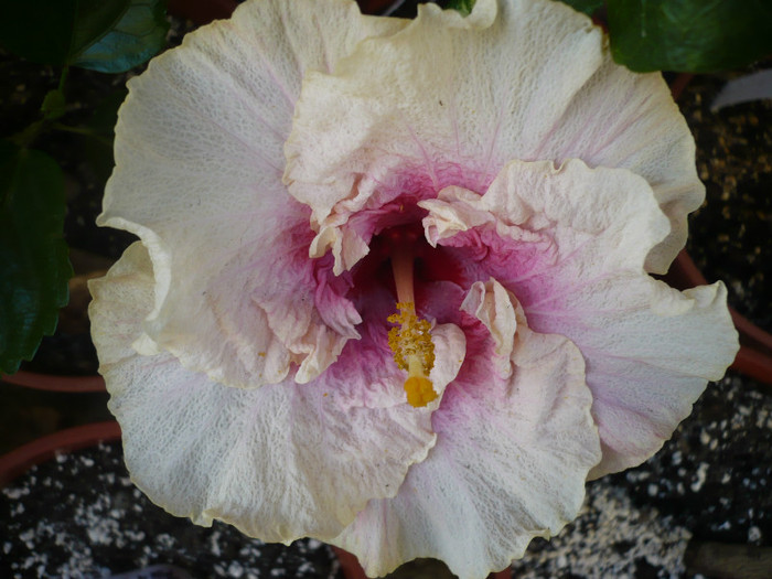 P1140457