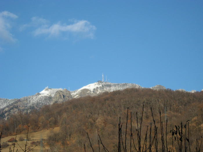 IMG_1542 - Cozia