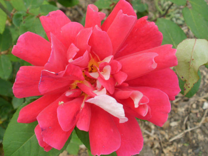 P5050412